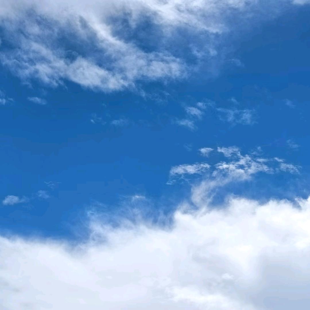 HL
