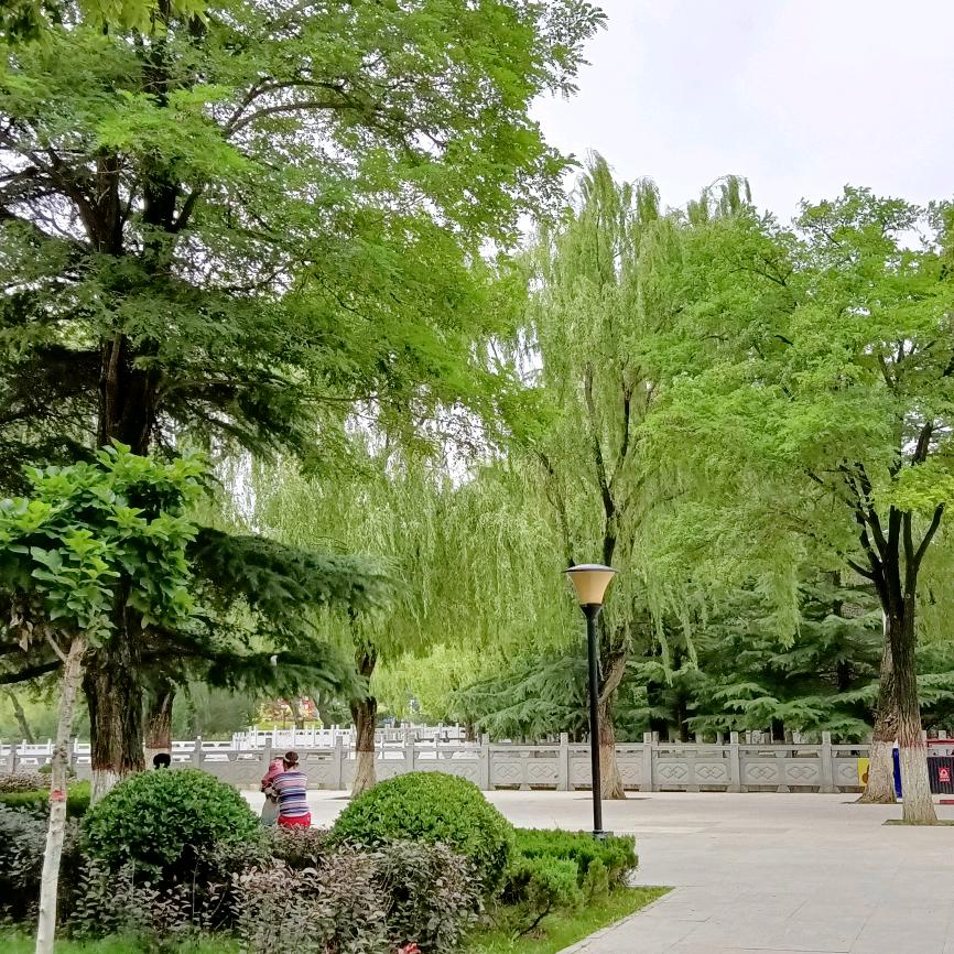 夏天的风景区