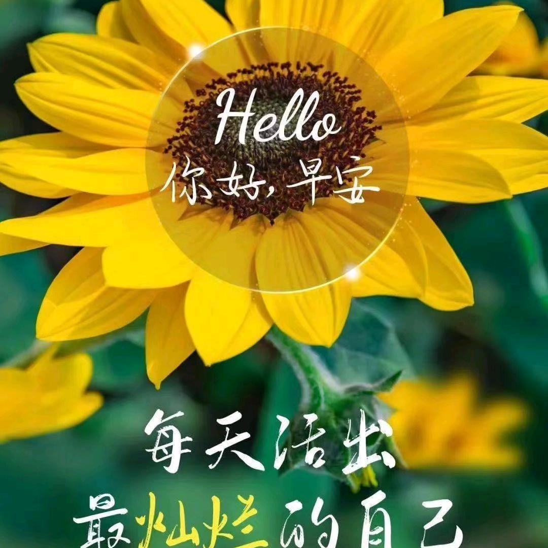 小姐姐