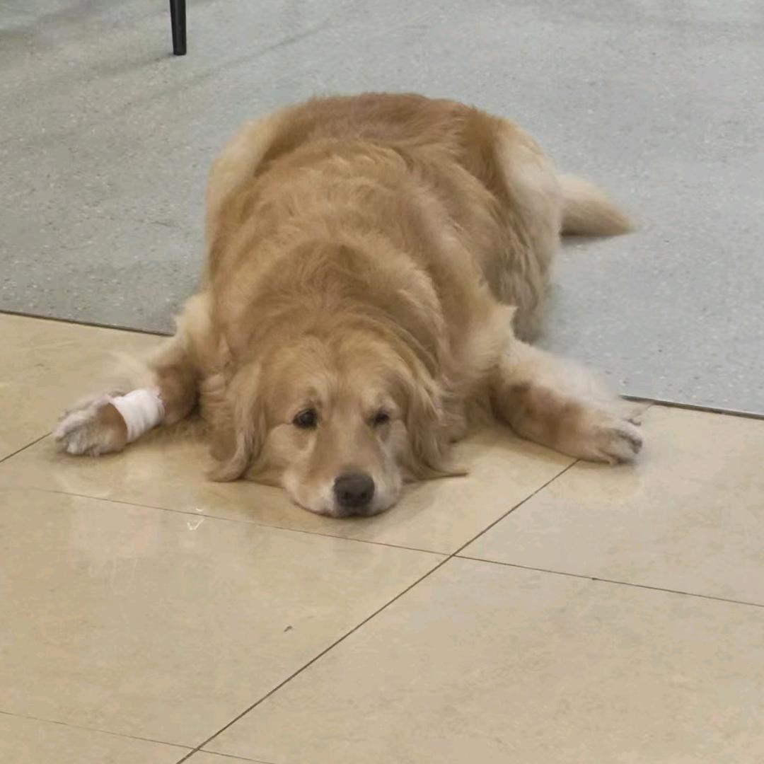 艾斯达不溜诶喽