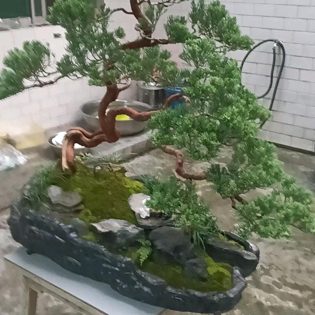 朱华兴风氺专区