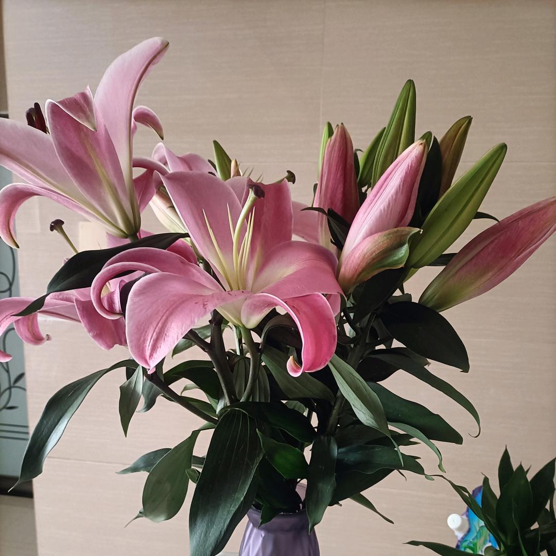 往事归零《从头再来》