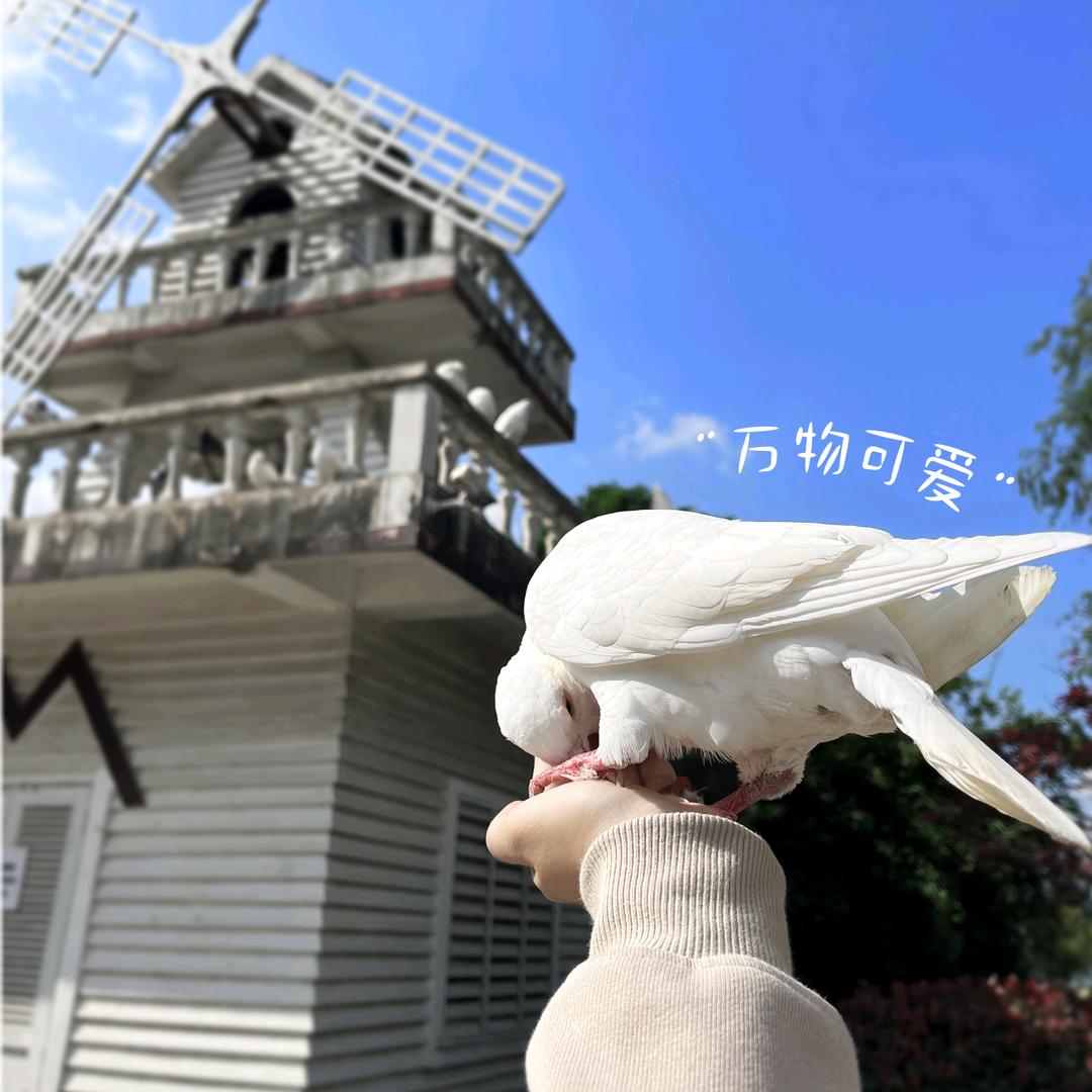 带你玩南京（南京一日游）