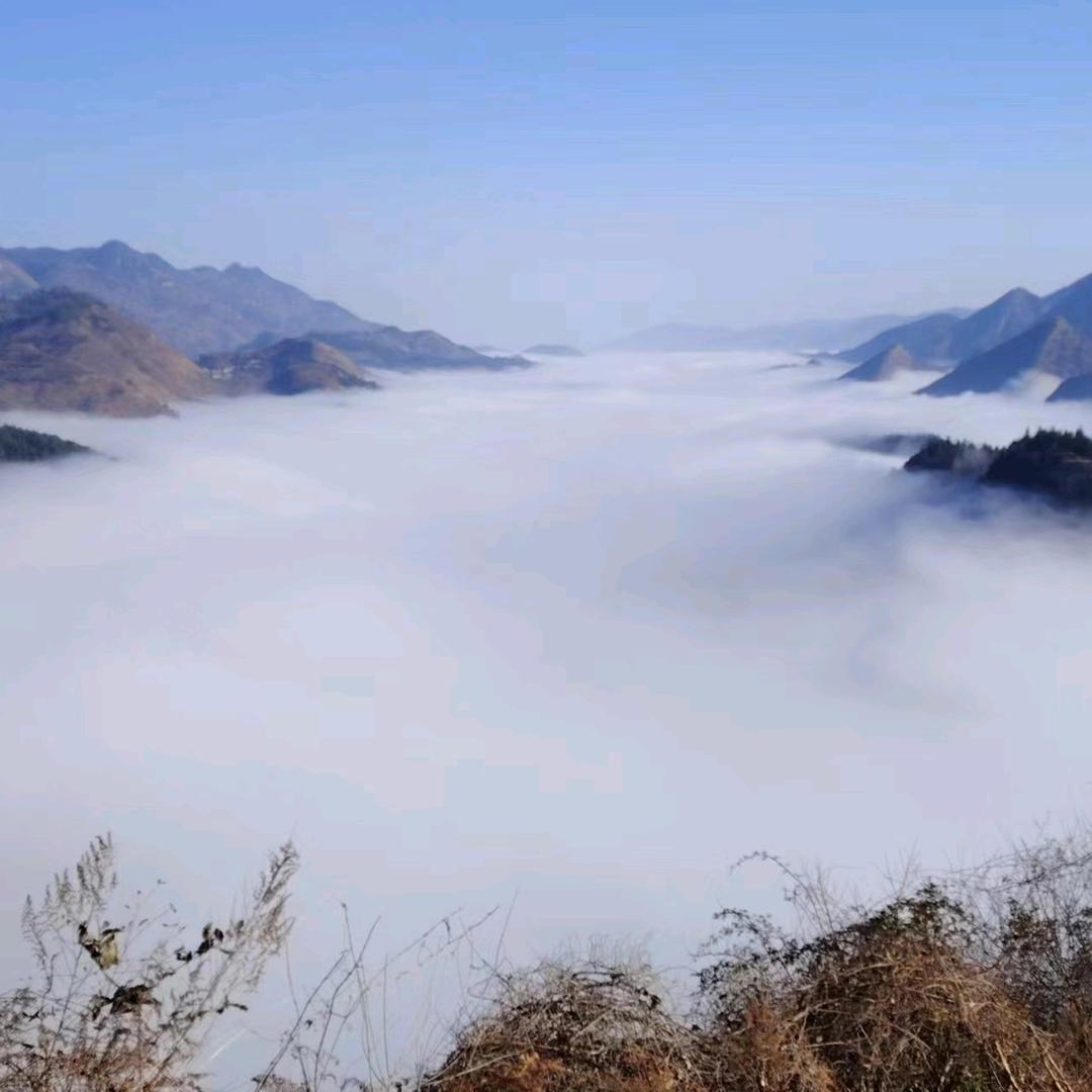 浅笑༿༂༾不语🍁꧔ꦿ᭄: