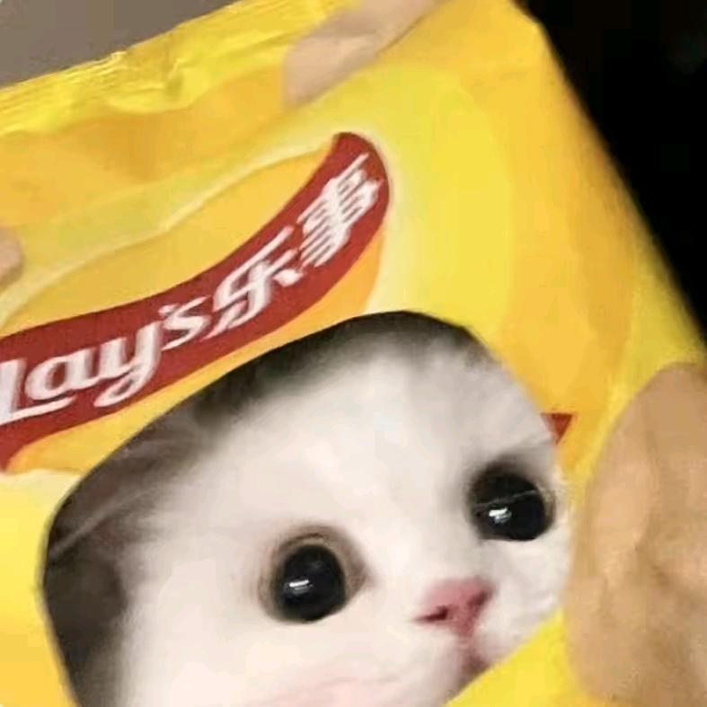 慧💓