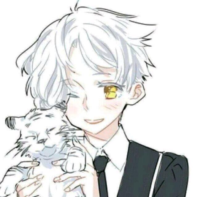 愿小翼✨ ¹²²⁴（心碎冰冷版）
