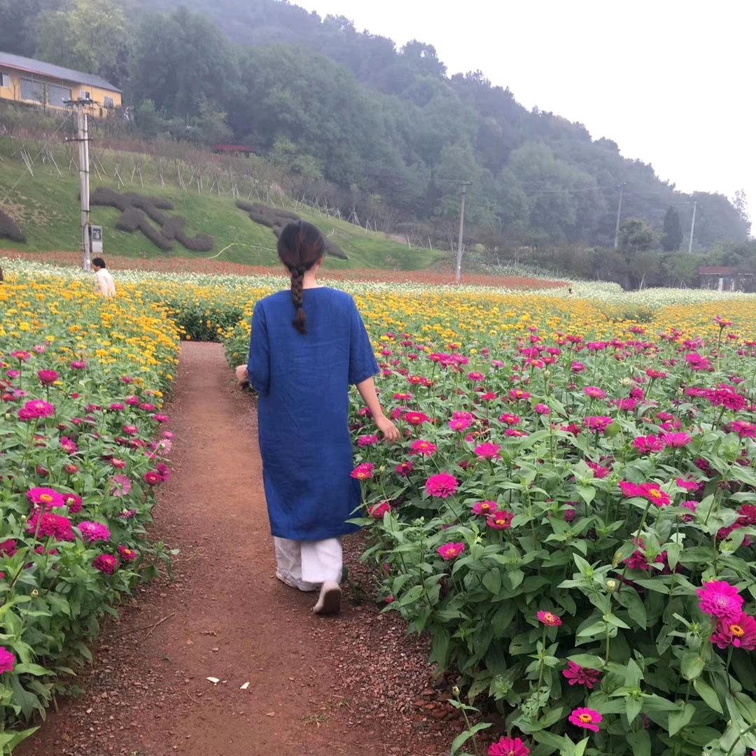 你好燕子