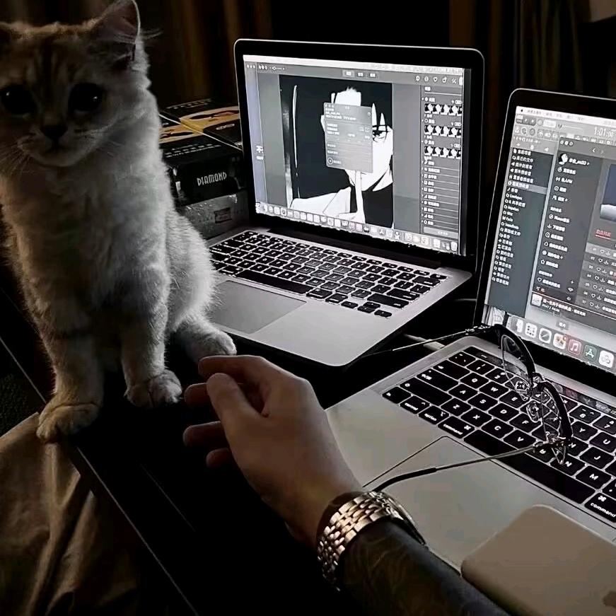 一起吹晚风不喽