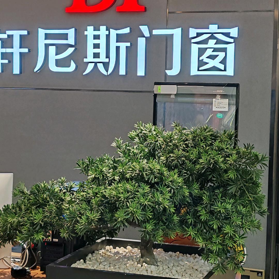 潢川轩尼斯门窗