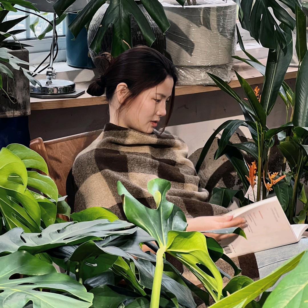 慕妍颂~何禾姐