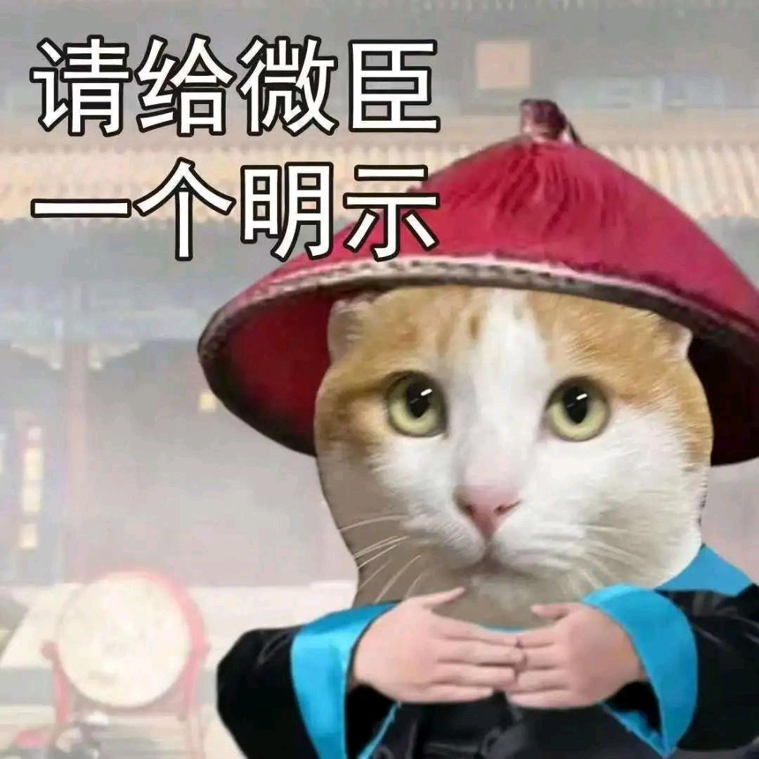 画画的大声公
