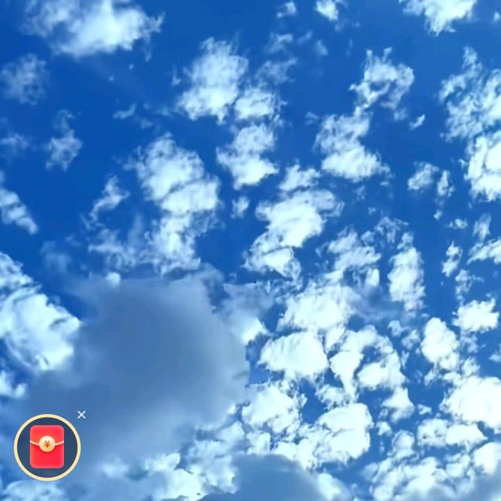 云哥