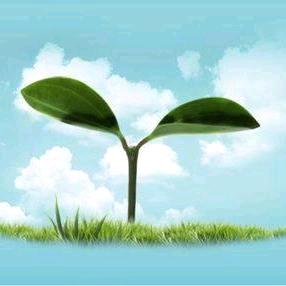邮进你💗里🌱¹²¹²