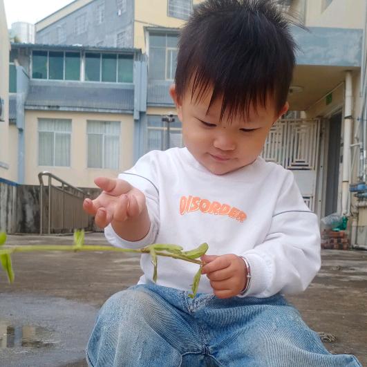 你还欠我一个家