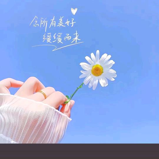 向阳而生