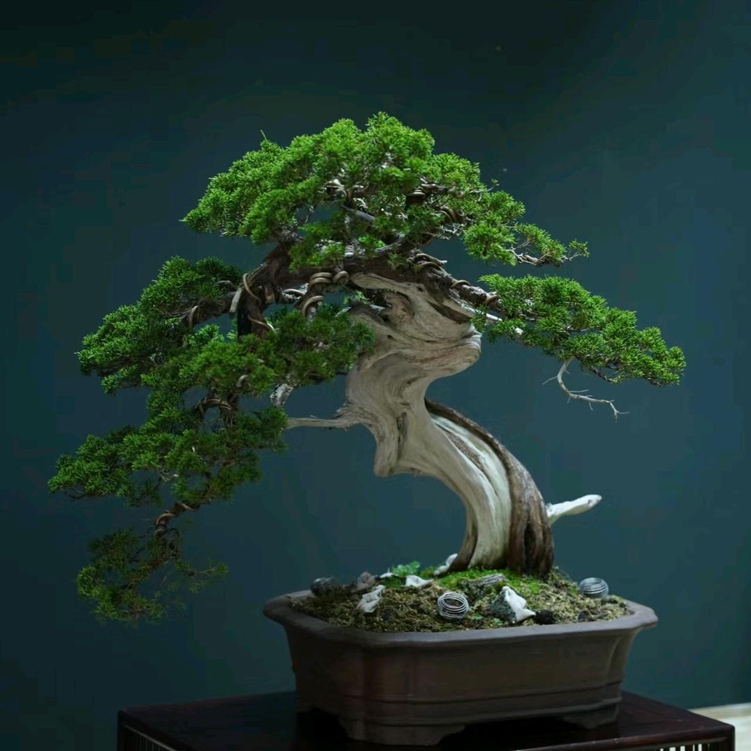 植心话园艺企业店
