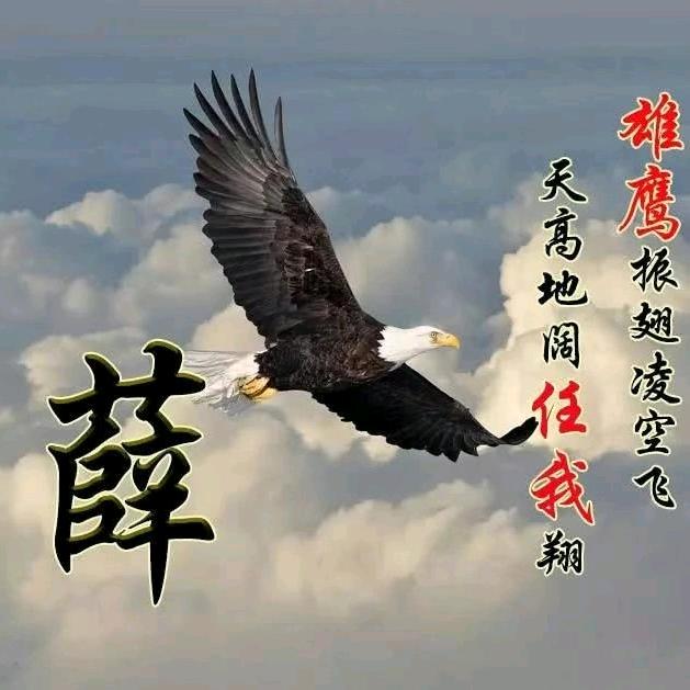 佳美地毯