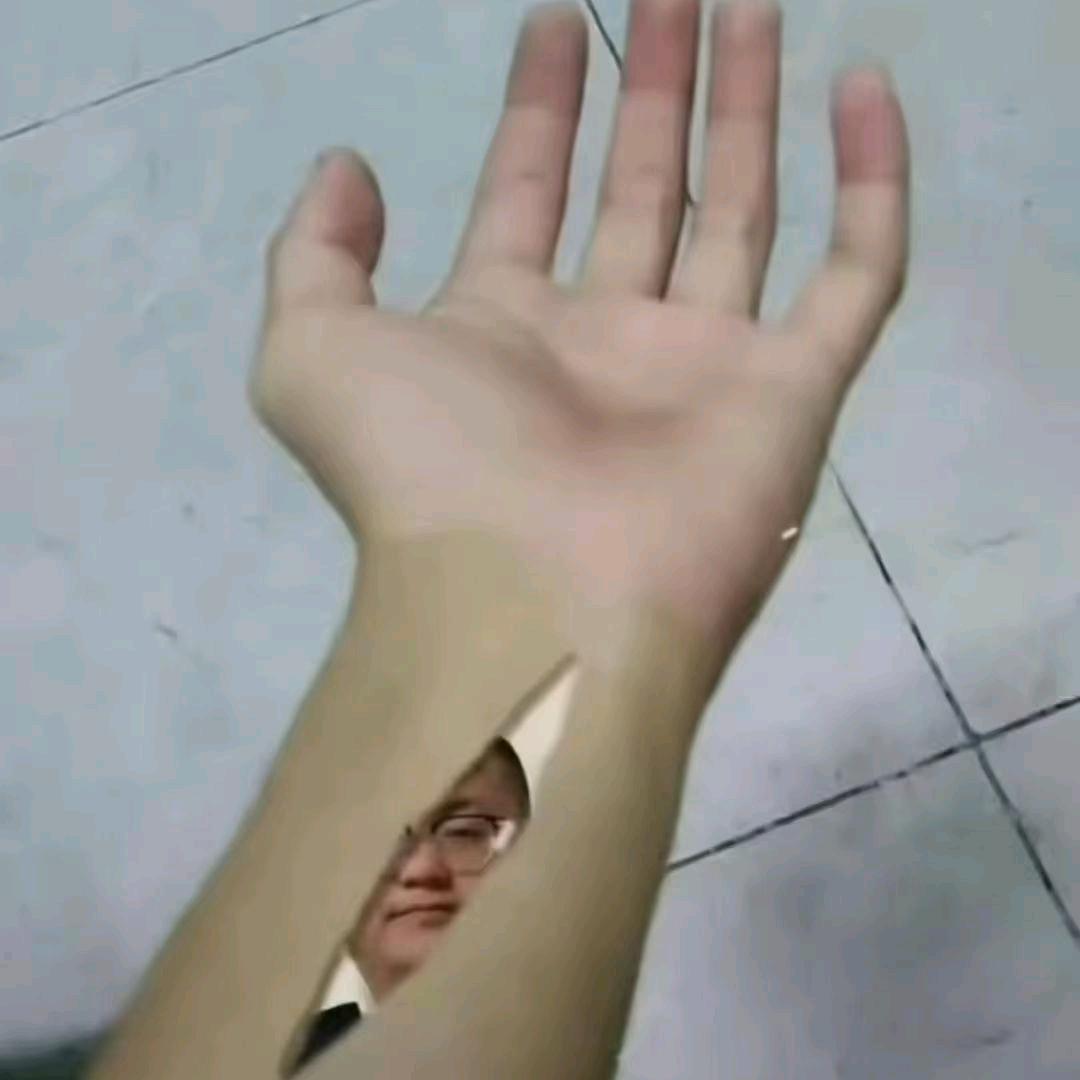 鸡屁踢