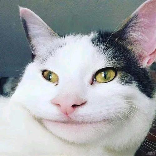 岁年