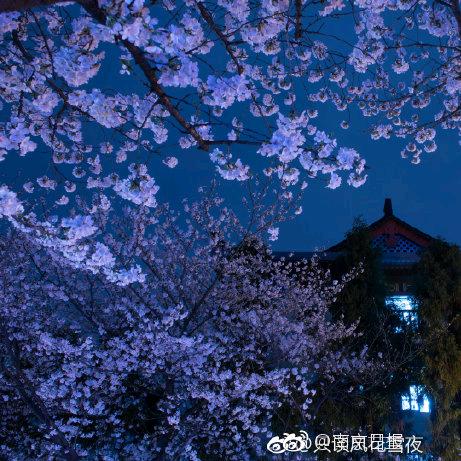 啊城187头像