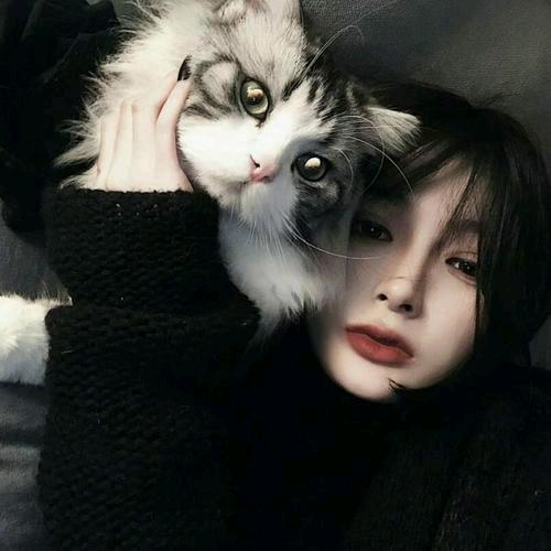 猫猫兔女郎