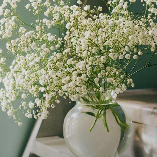 烟花