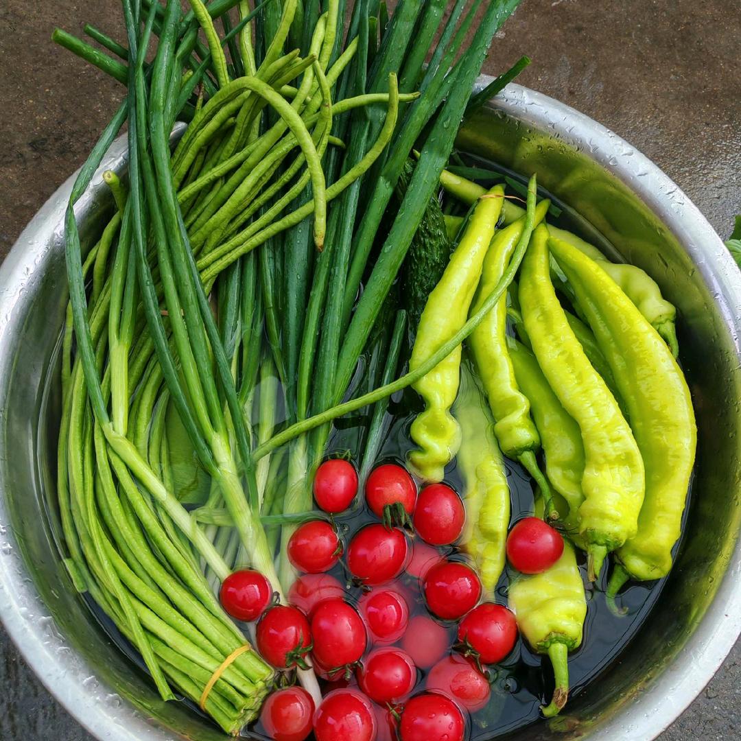 🇨🇳平凡人生🚩