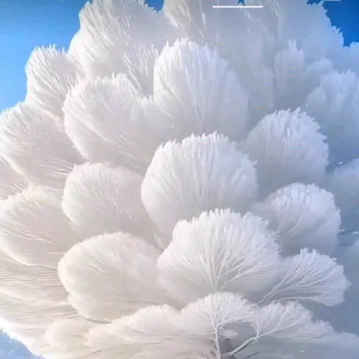 (๑♡⌓♡๑)安静❤️❤️