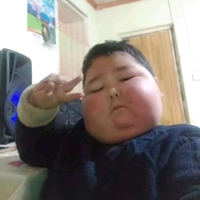 战败的铁甲熊