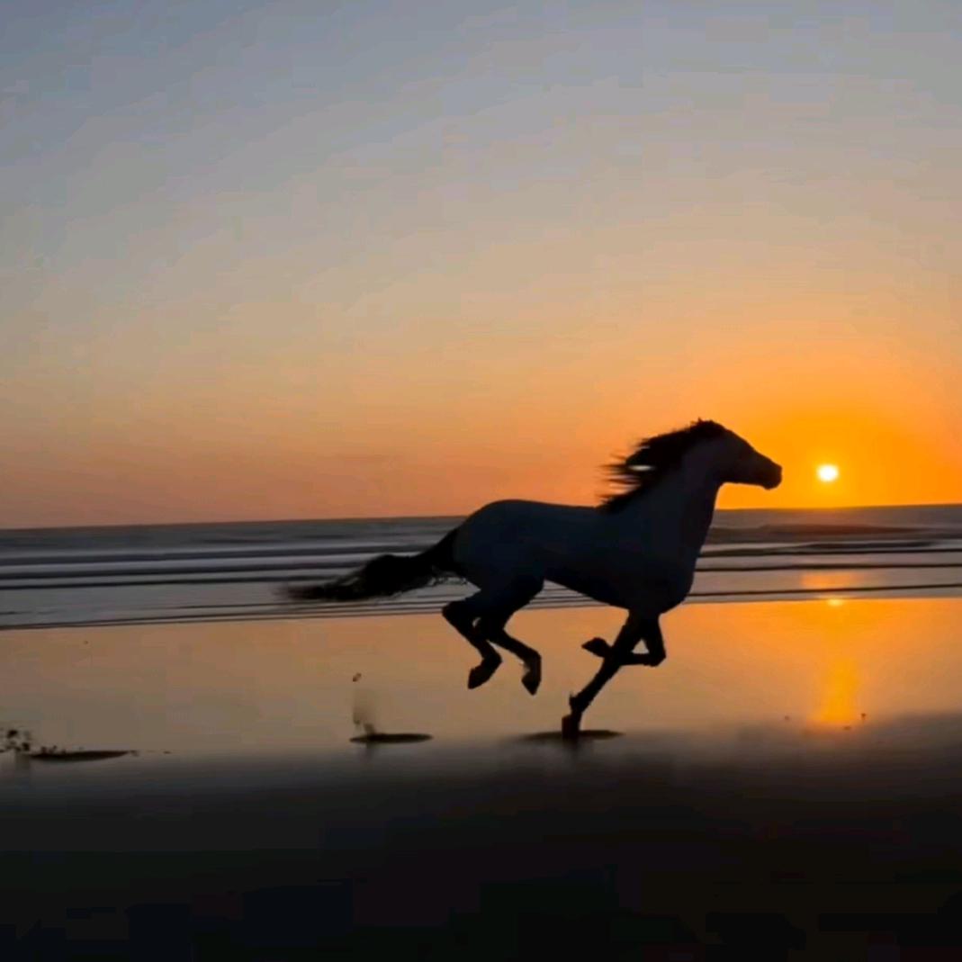 天际头像