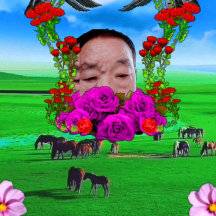 老头7