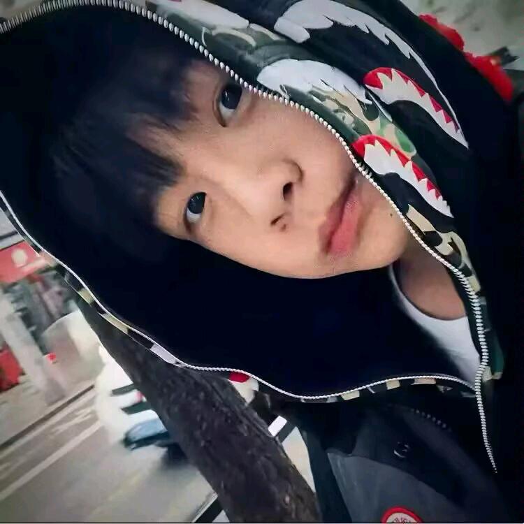 汤姆猫