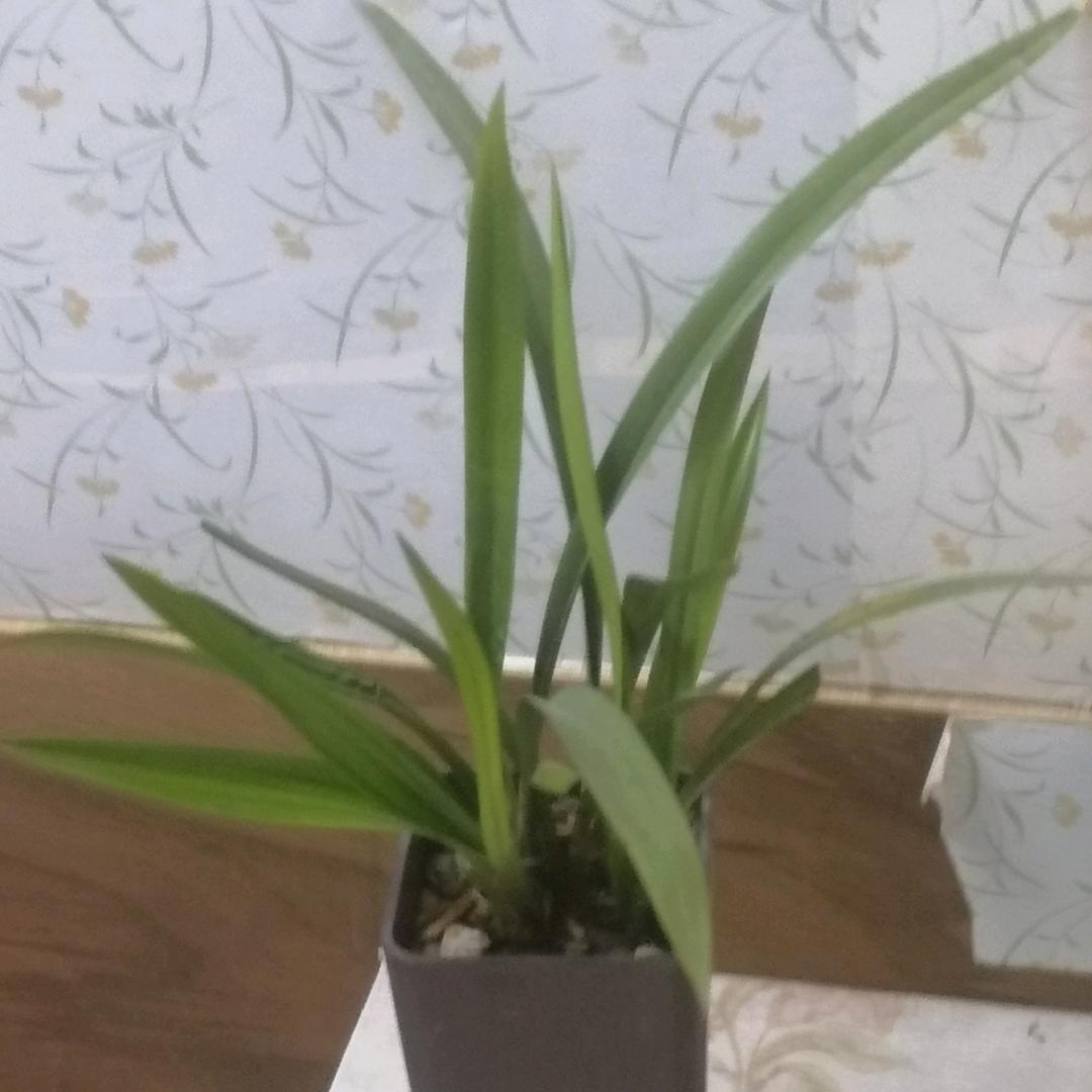 ＆酷＆＃的鑫%/@~$