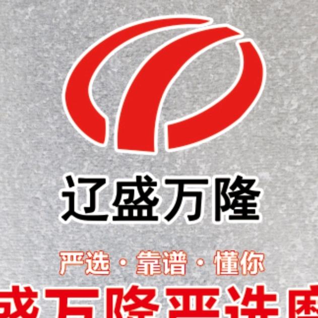 辽盛万隆严选机车