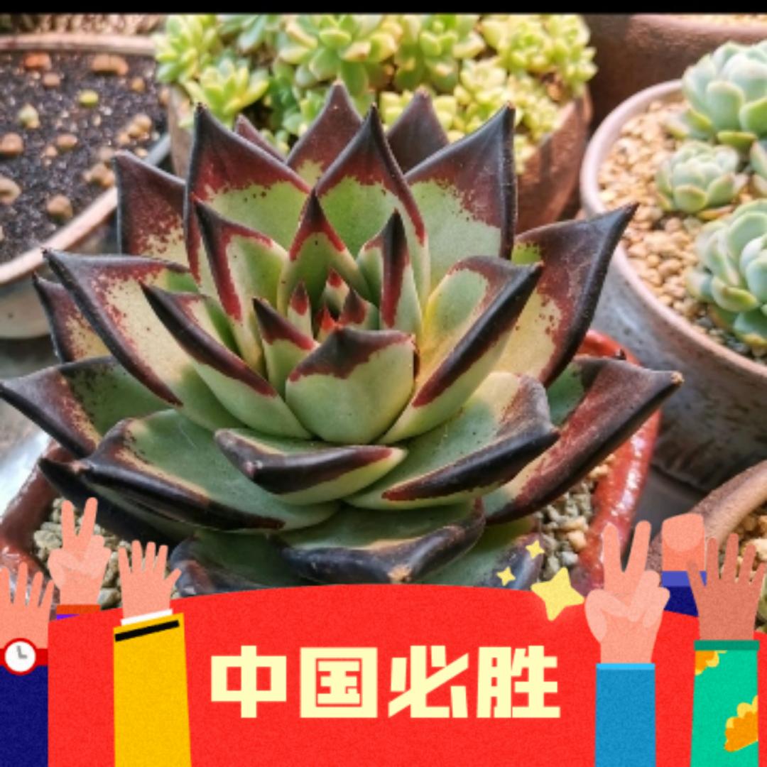 回到从前✨