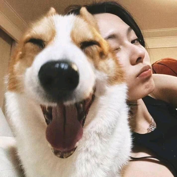 随安.