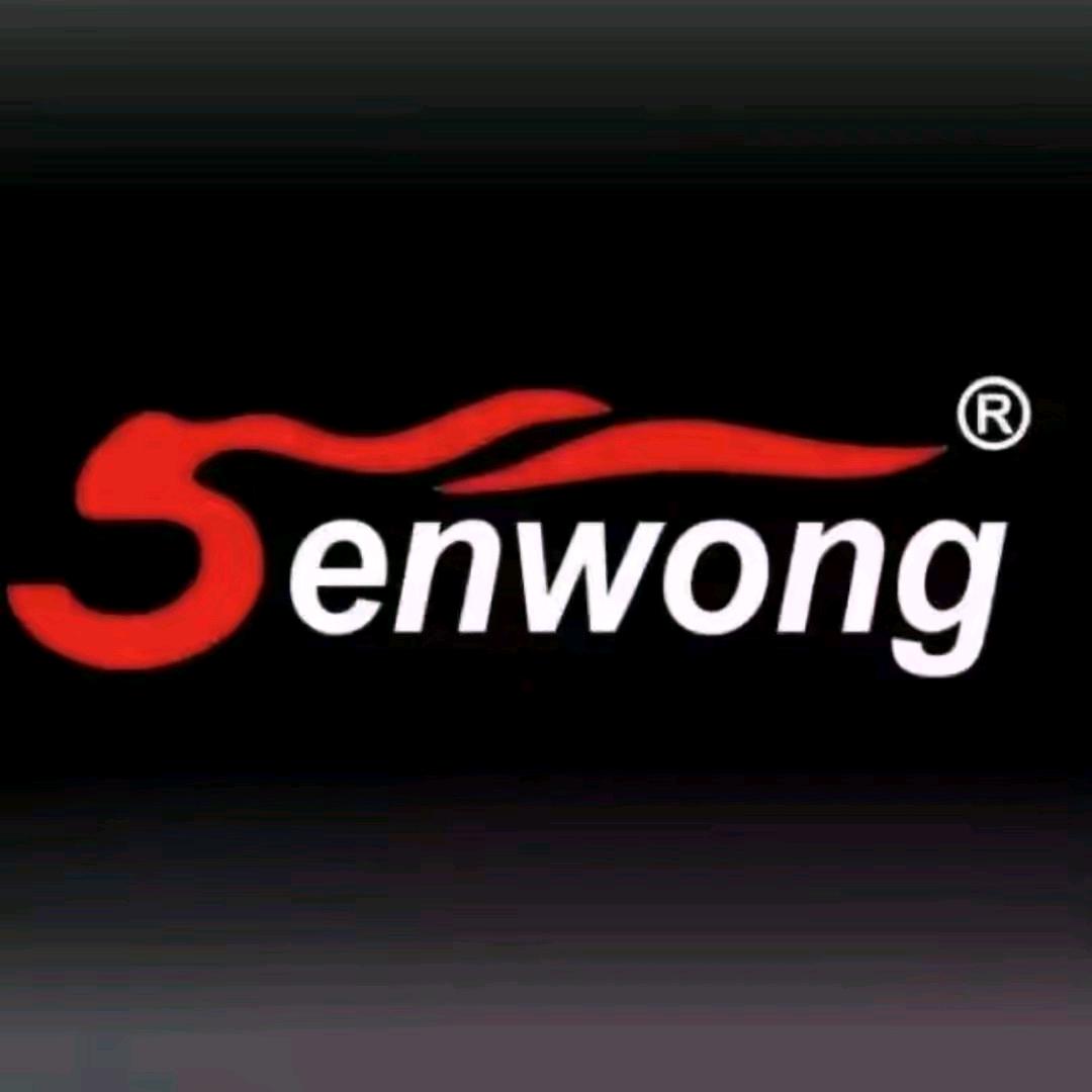Senwong瑞辰音响，森王品牌