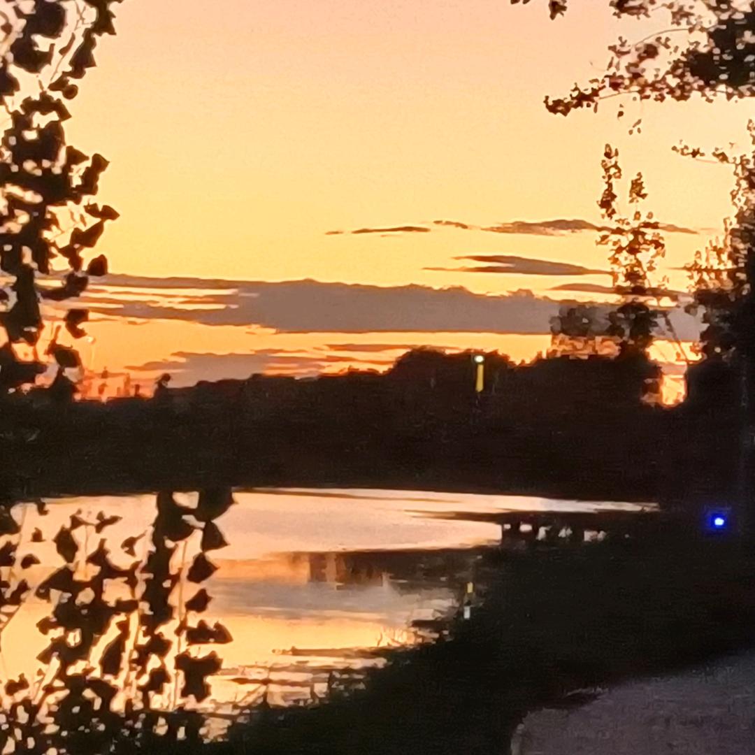 杨杨哥（三角洲行动）