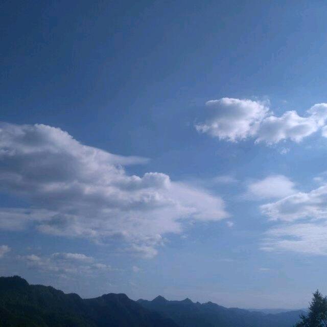 拼搏