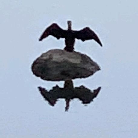 有空就打给你