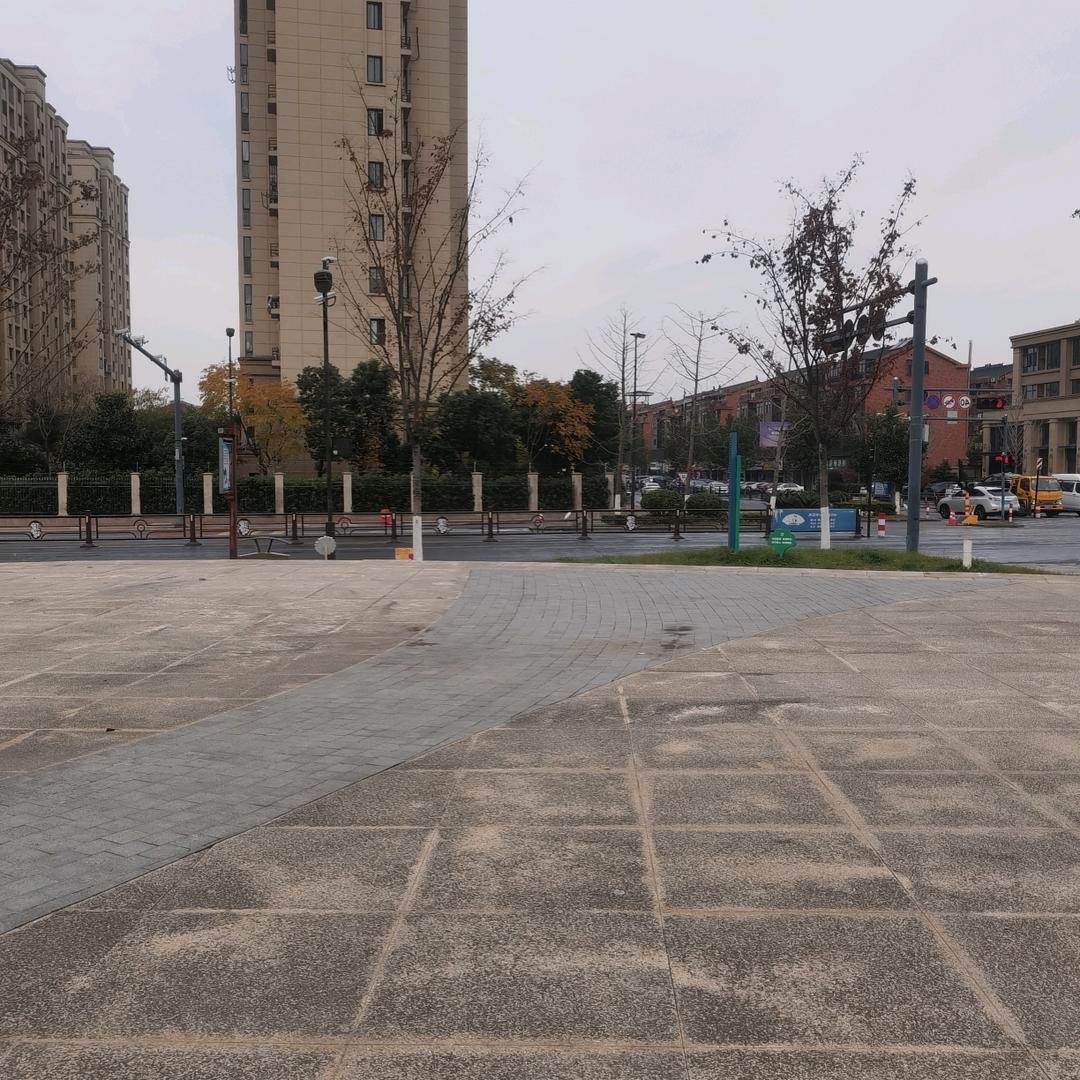 清闲的保哥