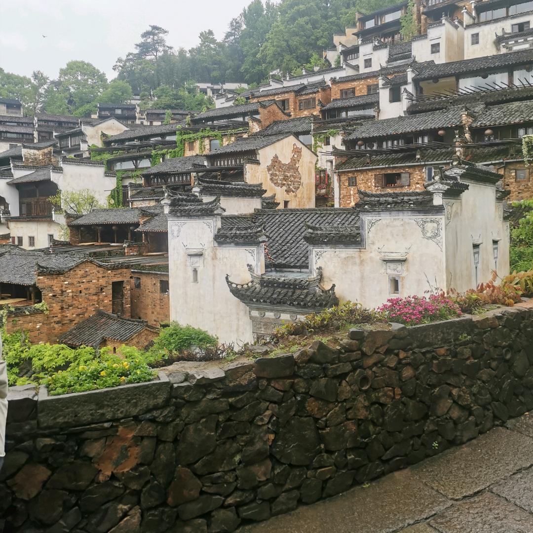 会飛的鱼