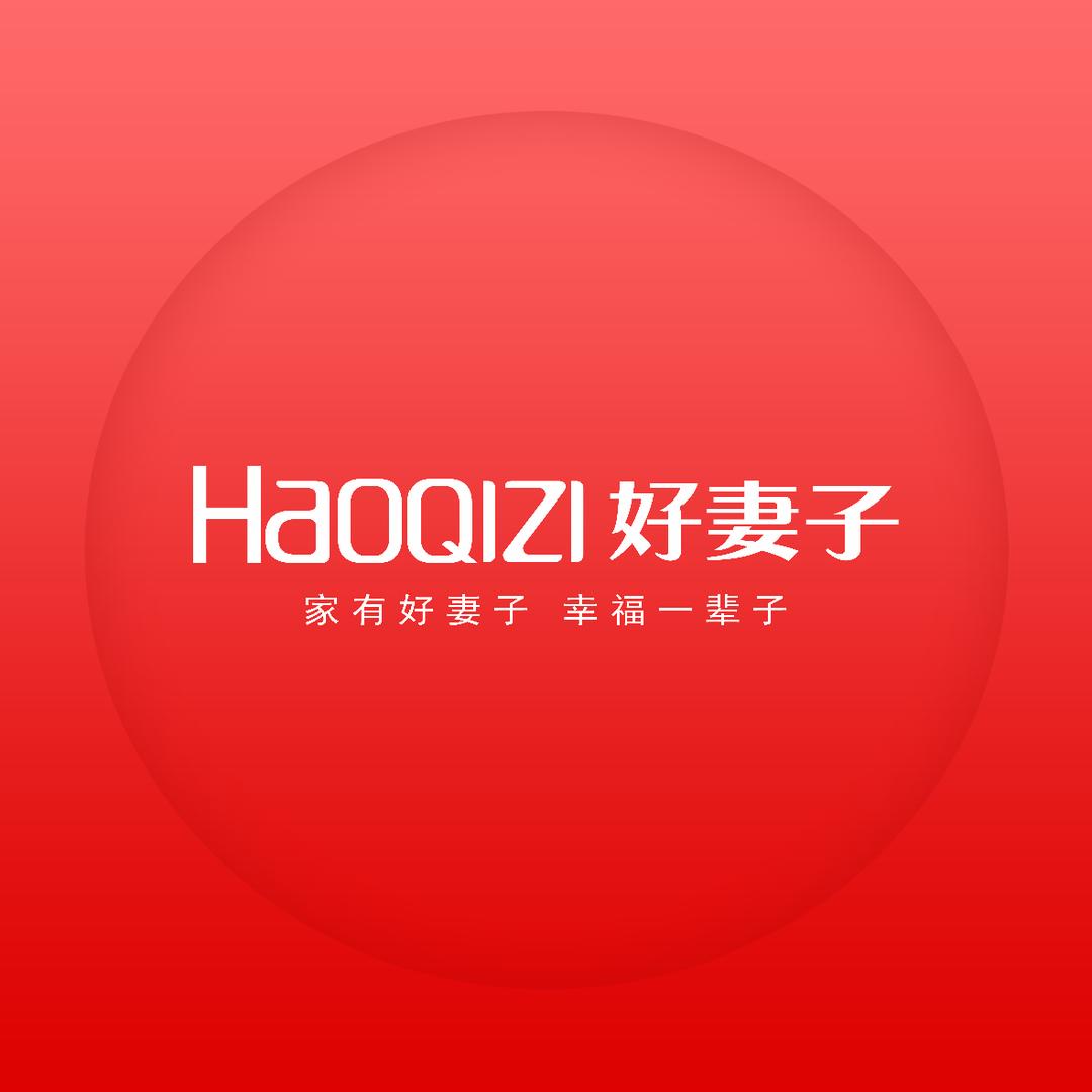 HQZ好妻子智慧厨电