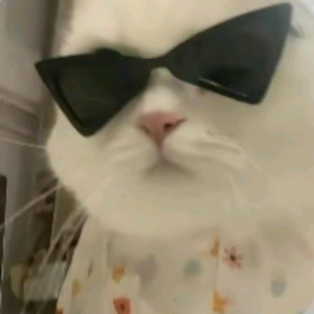 阿斯塔的摆摊日记