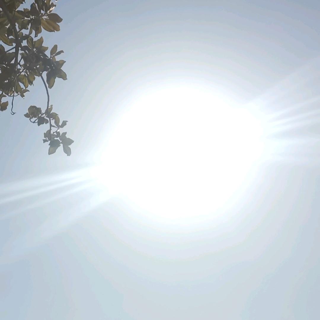 109422988491