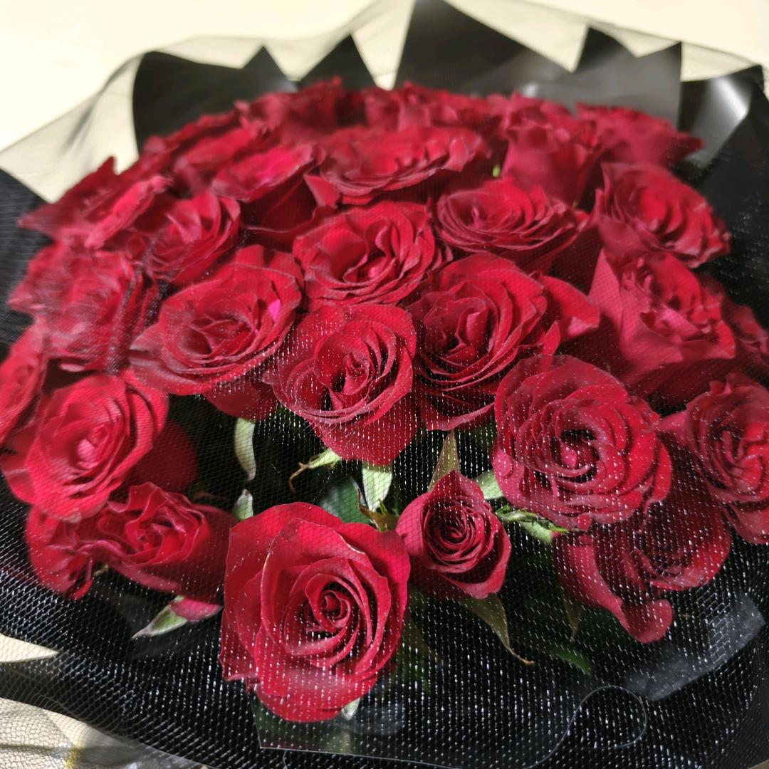 驿动的心