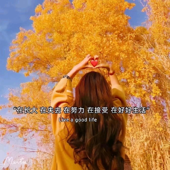 小🌸冰