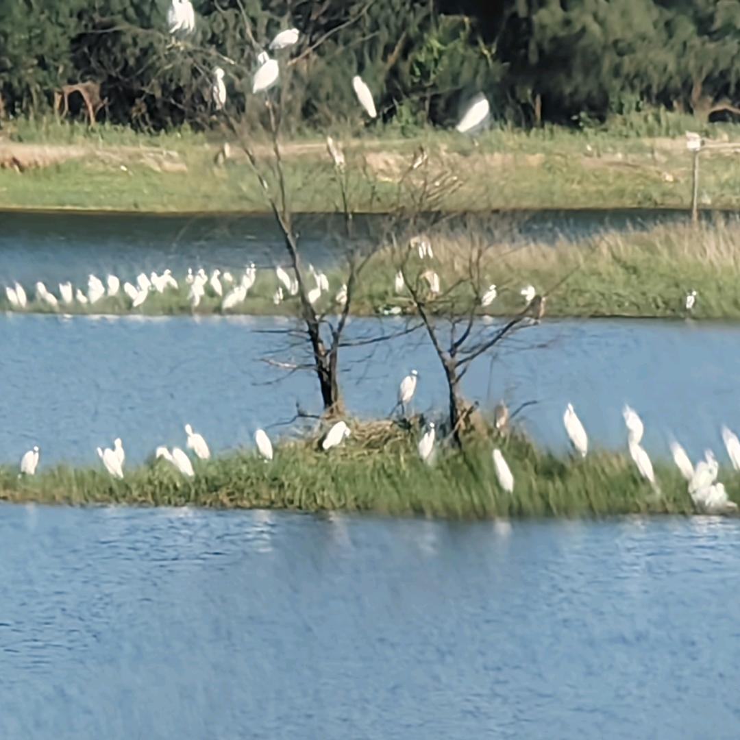 海南老潘聊美房