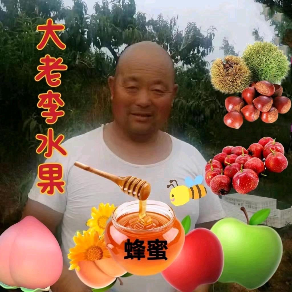 大老李桃哥