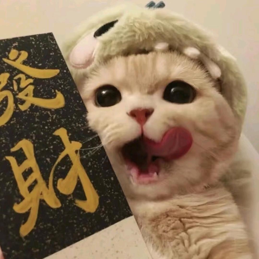 沐沐¥